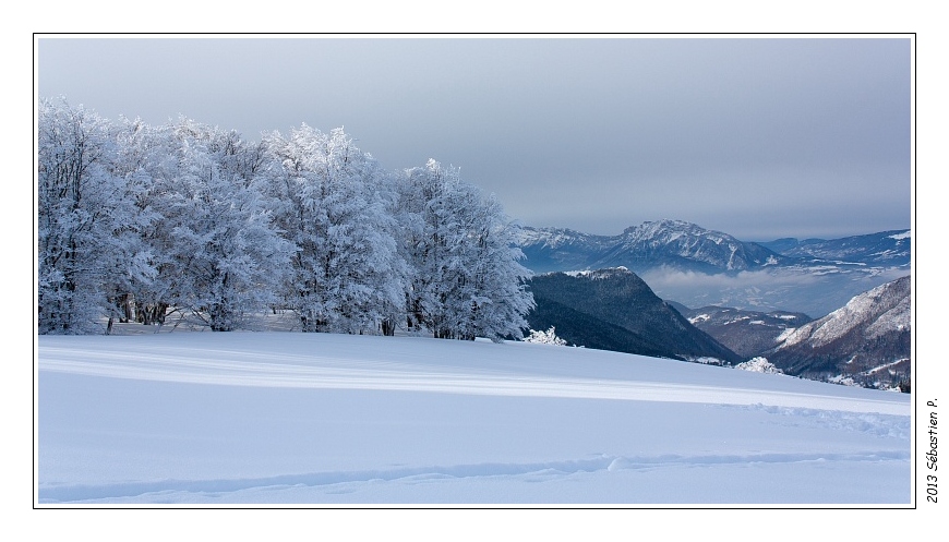 2013_Emeindras_du_dessus_029.jpg - Même s'il fait moins froid que prévu, les arbres sont bien givrés !