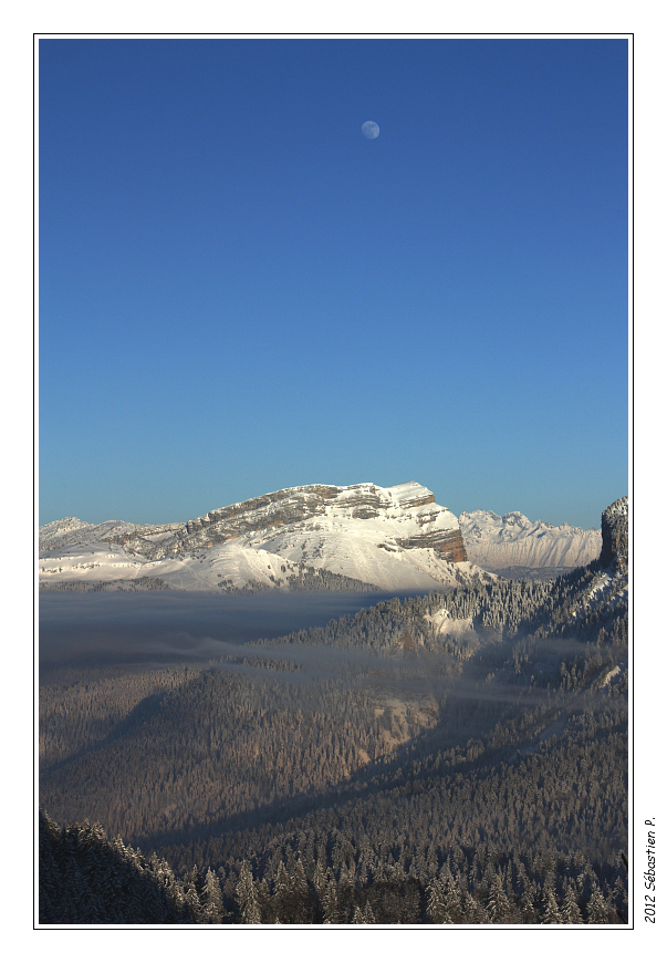 Pinea_017-border.jpg - Levé de lune au-dessus de la dent de Crolles