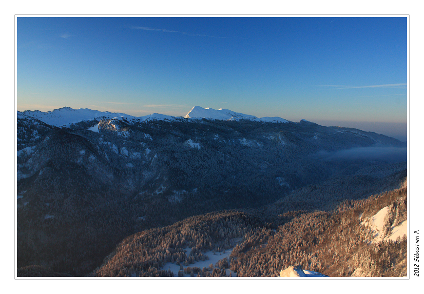Pinea_031-border.jpg - La Grande Sure, tout au fond