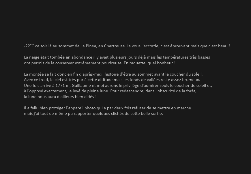 Pinea_texte.jpg