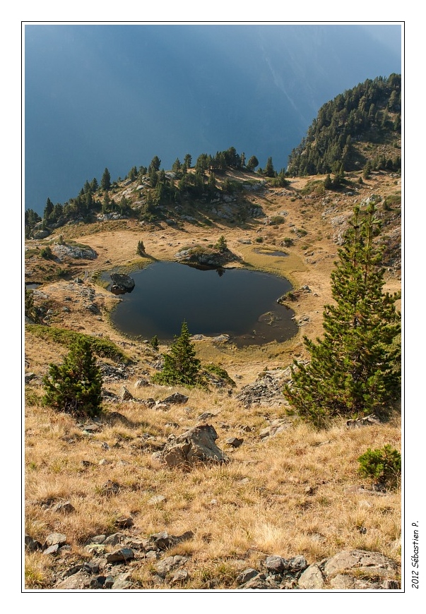 Lac_Achard_027.jpg - Sous le col de l'infernet, lac rond et sa tourbière près duquel j'aurai la chance d'observer un groupe de 10 chamois... à la jumelle tout de même.