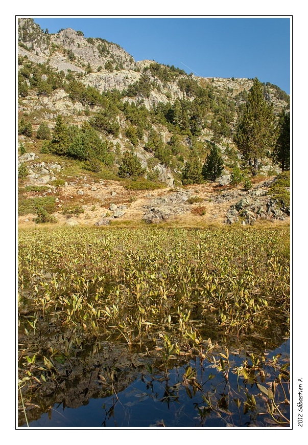 Lac_Achard_040.jpg - La fin de l'été a été correctement arrosé et les lacs ne manquent pas d'eau.