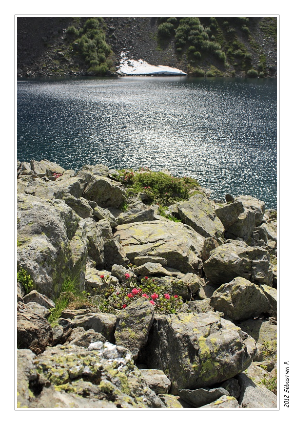Lac_de_Crop_017.jpg - Blanc, bleu, vert, gris et rose !