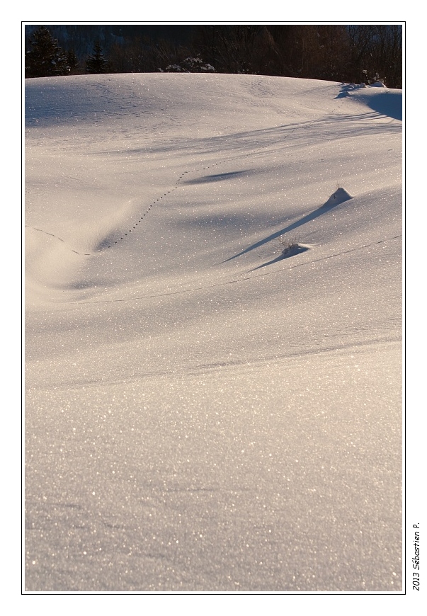 2013_Le_Baure_050.jpg - Mais qui est passé par là ?