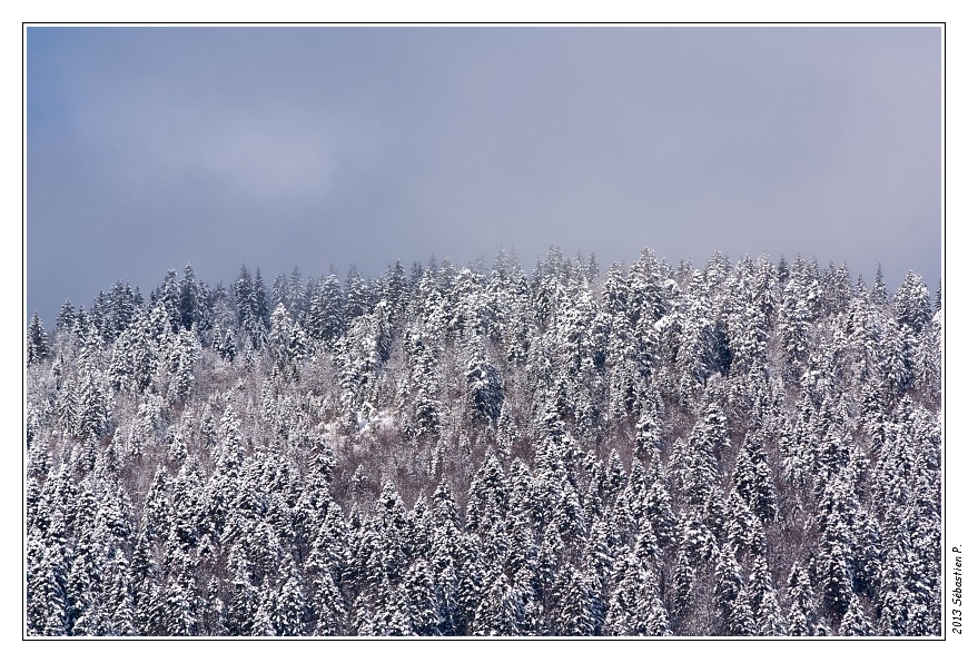 Les_Dioux_078.JPG