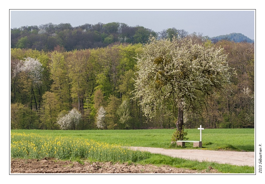 Gr5_Betting_Guenviller_025.jpg - Lieu de repos sur le GR5 G entre Betting et Hombourg-haut