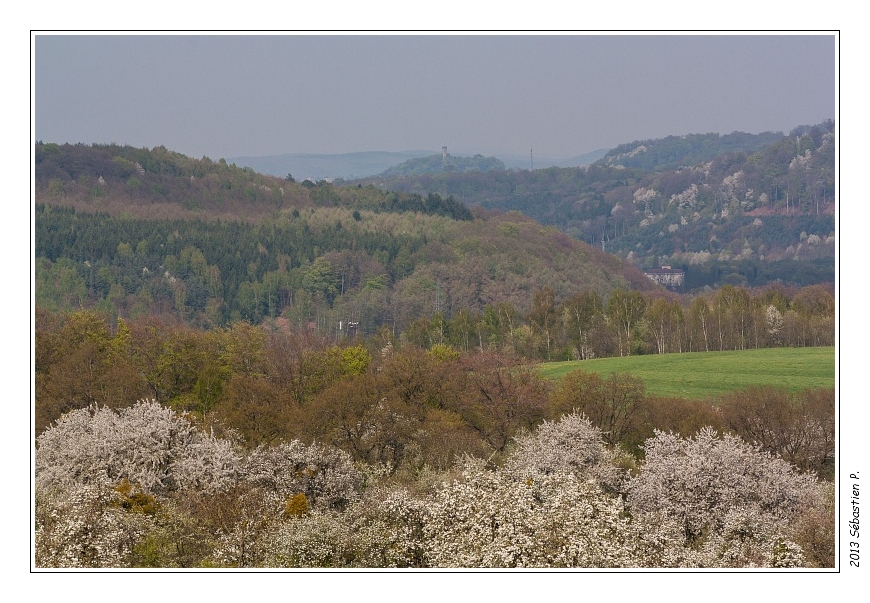 Gr5_Betting_Guenviller_030.jpg - La tour du château du Schlossberg au loin