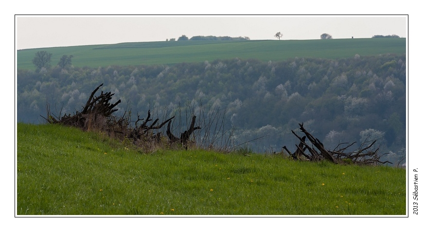 Gr5_Betting_Guenviller_031.jpg - L'imposante colline de Wolfesbumert taillée par la vallée du Dotelbach