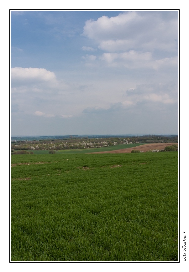 Gr5_Betting_Guenviller_034.jpg - Le plateau lorrain vue du lieu-dit Neugeland à Seingbouse. D'ici, par temps clair, on voit les Vosges