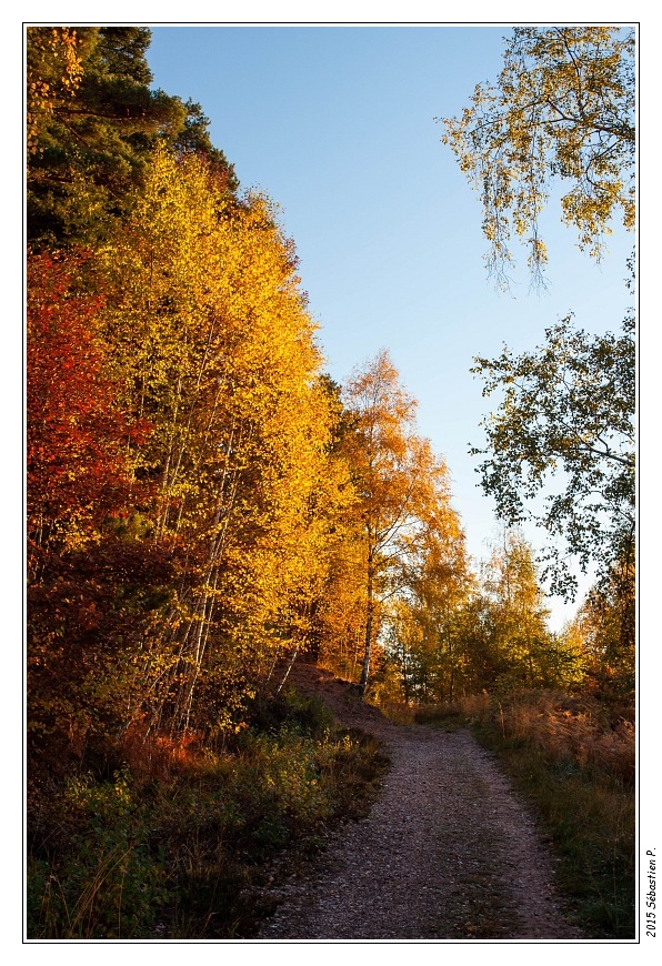Haute_Pierre_Moyenmoutier_003.jpg - L'automne à son paroxysme
