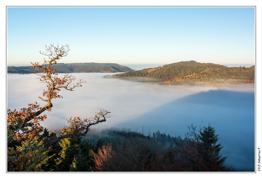 Haute_Pierre_Moyenmoutier_007.jpg - Tête du Grand Fays (577 m) juste en face, de l'autre côté de la vallée de Ravine