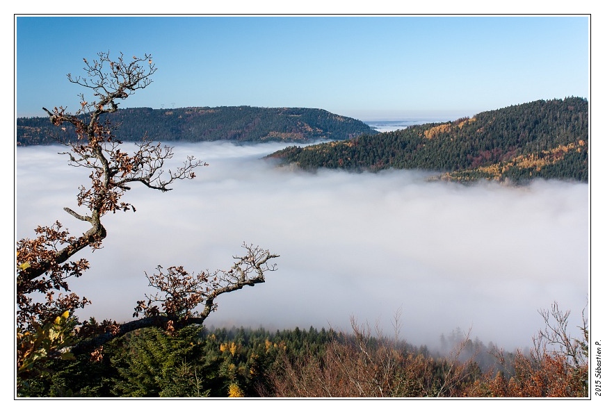 Haute_Pierre_Moyenmoutier_072.jpg - Encore un regard au-dessus de la vallée du ruisseau de Ravine avec, au fond, la Meurthe qui passe les derniers reliefs avant le plateau lorrain 