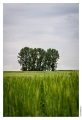 Fresnois_Plateau_lorrain_013
