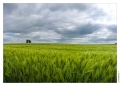 Fresnois_Plateau_lorrain_039_pano