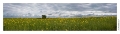 Fresnois_Plateau_lorrain_132_pano