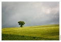 Fresnois_Plateau_lorrain_150