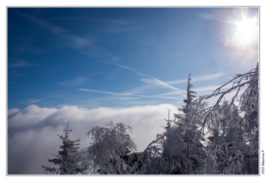 Petit_Donon_042.jpg - Comme dans un rêve. Entouré de nuages bas et la tête au soleil.