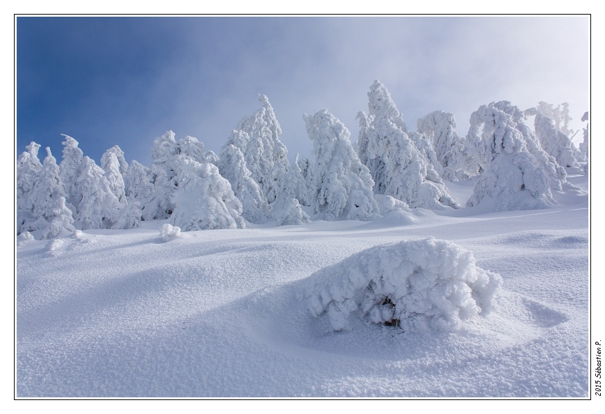 Petit_Donon_066.jpg - Ombres et lumières dans ce paysage figé