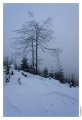 Petit_Donon_007