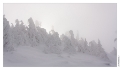 Petit_Donon_018