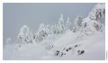Petit_Donon_028