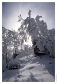 Petit_Donon_039