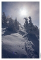 Petit_Donon_067
