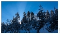 Petit_Donon_085