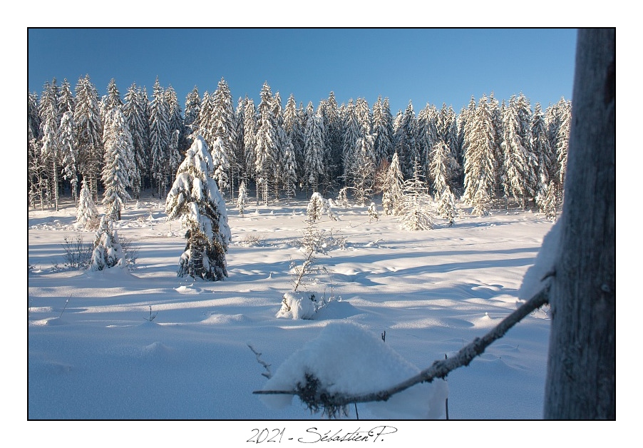 2021_01_Rondfaing-065.jpg