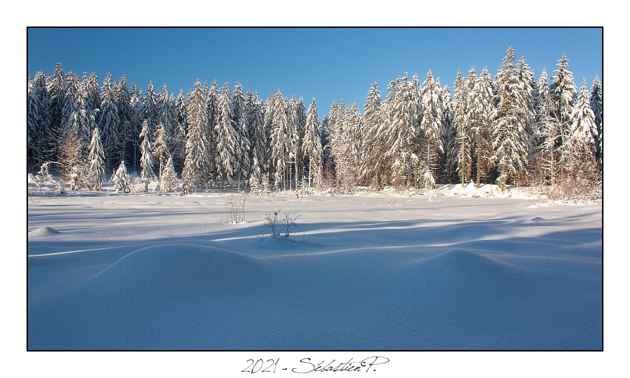 2021_01_Rondfaing-067.jpg