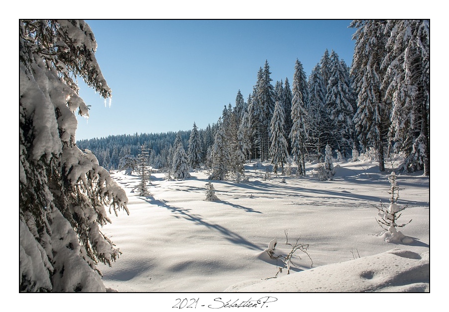 2021_01_Rondfaing-077.jpg