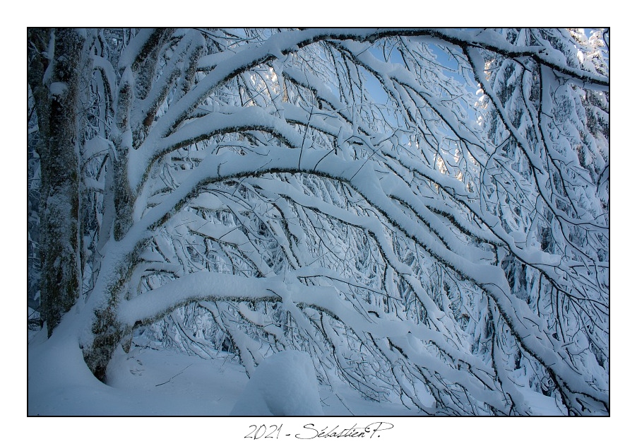 2021_01_Rondfaing-085.jpg - Sous les arches blanches