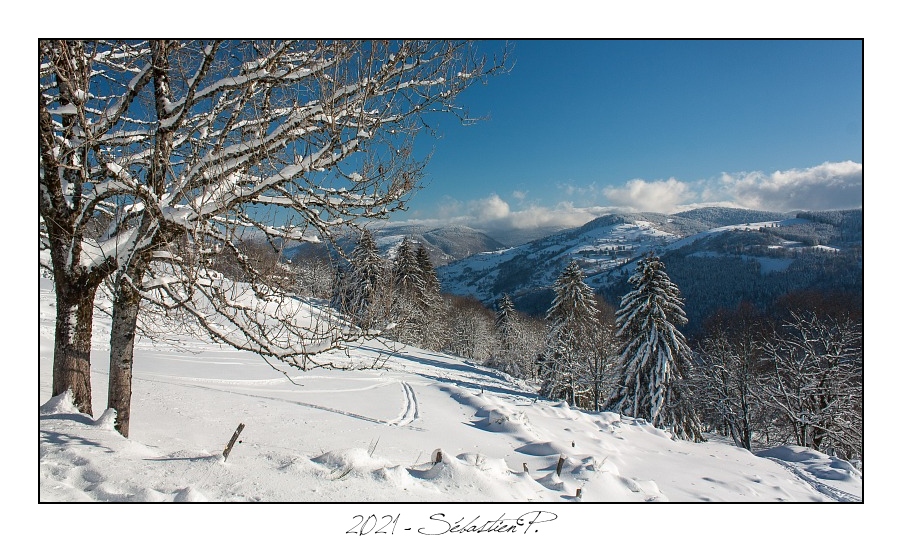 2021_01_Rondfaing-105.jpg - Fin de rando, retour à la voiture