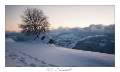 2021_01_Rondfaing-002