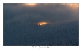 2021_01_Rondfaing-020
