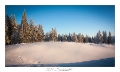 2021_01_Rondfaing-030