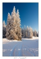 2021_01_Rondfaing-033