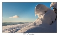 2021_01_Rondfaing-037