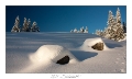 2021_01_Rondfaing-044