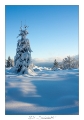 2021_01_Rondfaing-046