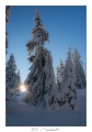 2021_01_Rondfaing-048