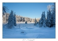 2021_01_Rondfaing-054