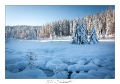 2021_01_Rondfaing-060