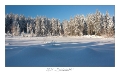 2021_01_Rondfaing-067
