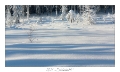2021_01_Rondfaing-068