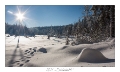 2021_01_Rondfaing-075