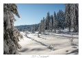 2021_01_Rondfaing-077