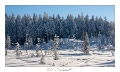 2021_01_Rondfaing-081