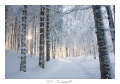 2021_01_Rondfaing-086
