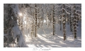 2021_01_Rondfaing-088